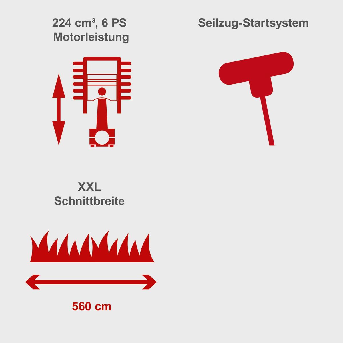 Samohodna motorna kosilica MS225-56 6 KS Scheppach